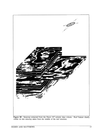A 3-D Seismic Case Study of the Dawn 167 Pool Page 17