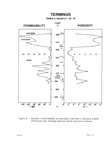 The Geology of Porosity and Permeability Variation in Siluran Pinnacle Reefs, Southwestern Ont. Page 15