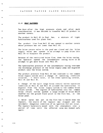 A Vapour Cloud Release From an LPG Storage Cavern Page 5