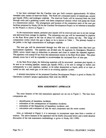 Risk Analysis of Pipeline Transmission of Hazardous Substances Page 2