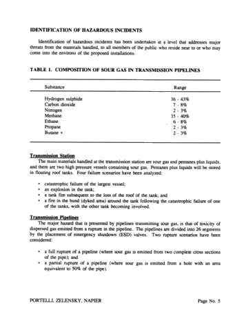 Risk Analysis of Pipeline Transmission of Hazardous Substances Page 5