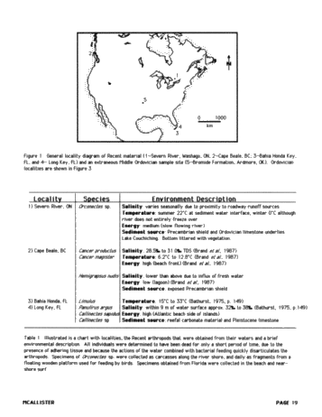 Comparisons of Recent Arthropods and Trilobites Trilobites and Their Use as Possible Paleoenvironmental Indicators Page 19