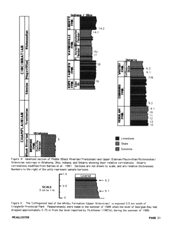 Comparisons of Recent Arthropods and Trilobites Trilobites and Their Use as Possible Paleoenvironmental Indicators Page 21