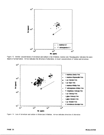 Comparisons of Recent Arthropods and Trilobites Trilobites and Their Use as Possible Paleoenvironmental Indicators Page 26