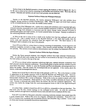 Subaerial Exposure of Middle Silurian Guelph Formation Pinnacle Reefs of the Michigan Basin, Southwestern Ontario Page 10