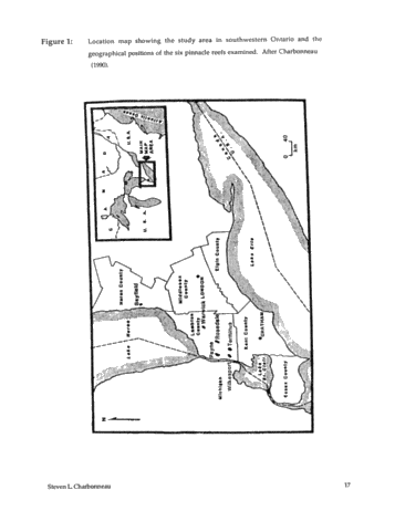 Subaerial Exposure of Middle Silurian Guelph Formation Pinnacle Reefs of the Michigan Basin, Southwestern Ontario Page 17