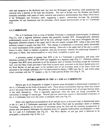 Dolomitization Patterns in the Salina A-1 and A-2 Units, Sombra Township, Ontario Page 8
