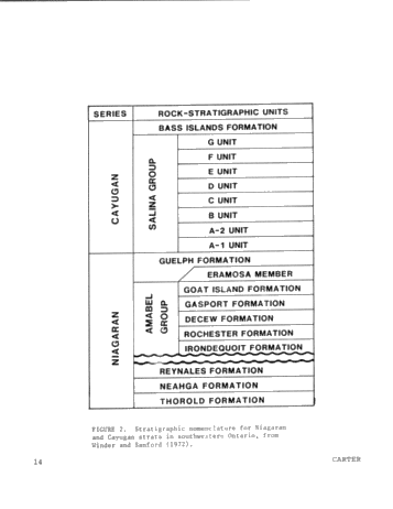 Dolomitization Patterns in the Salina A-1 and A-2 Units, Sombra Township, Ontario Page 14