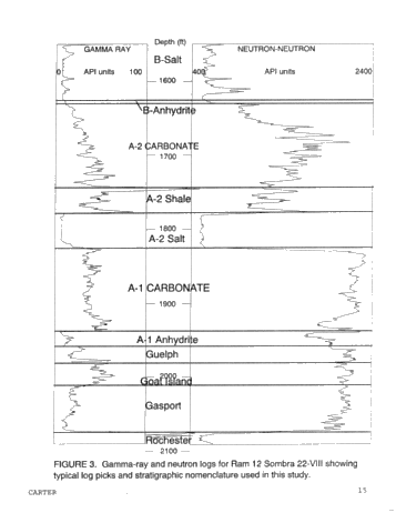 Dolomitization Patterns in the Salina A-1 and A-2 Units, Sombra Township, Ontario Page 15