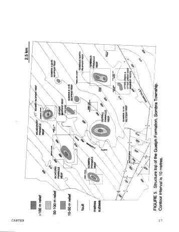 Dolomitization Patterns in the Salina A-1 and A-2 Units, Sombra Township, Ontario Page 17