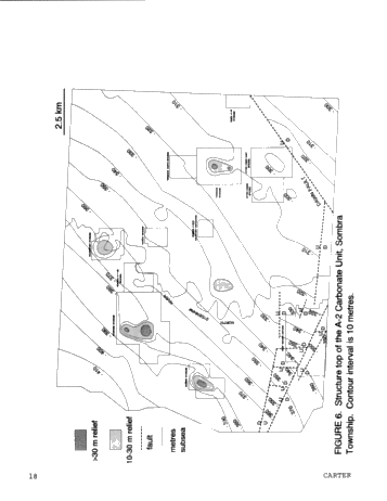Dolomitization Patterns in the Salina A-1 and A-2 Units, Sombra Township, Ontario Page 18