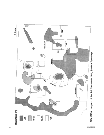 Dolomitization Patterns in the Salina A-1 and A-2 Units, Sombra Township, Ontario Page 20