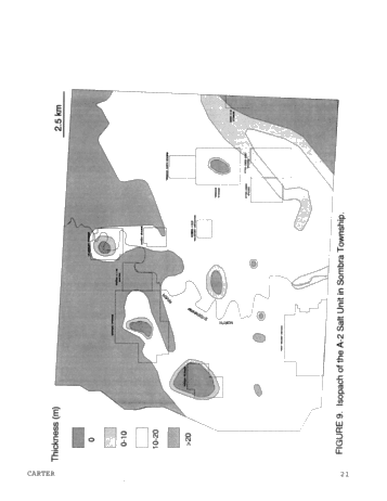 Dolomitization Patterns in the Salina A-1 and A-2 Units, Sombra Township, Ontario Page 21