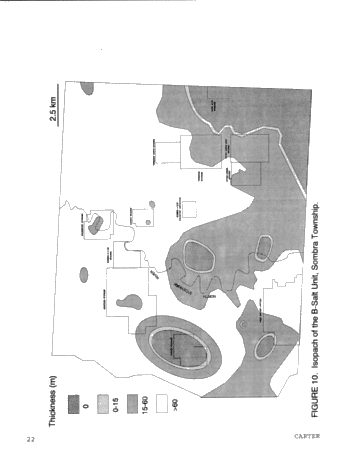 Dolomitization Patterns in the Salina A-1 and A-2 Units, Sombra Township, Ontario Page 22