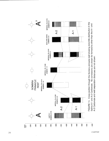 Dolomitization Patterns in the Salina A-1 and A-2 Units, Sombra Township, Ontario Page 26