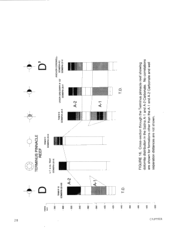 Dolomitization Patterns in the Salina A-1 and A-2 Units, Sombra Township, Ontario Page 28