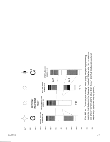 Dolomitization Patterns in the Salina A-1 and A-2 Units, Sombra Township, Ontario Page 29