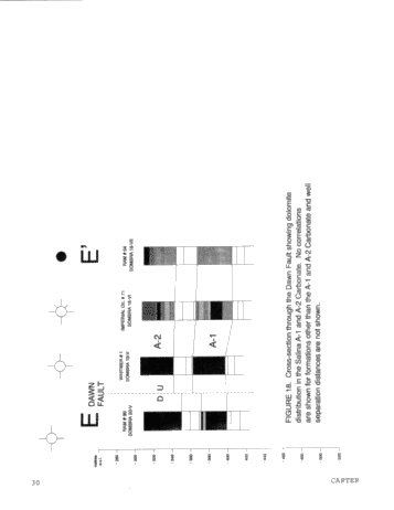 Dolomitization Patterns in the Salina A-1 and A-2 Units, Sombra Township, Ontario Page 30