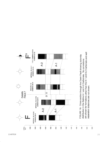 Dolomitization Patterns in the Salina A-1 and A-2 Units, Sombra Township, Ontario Page 31