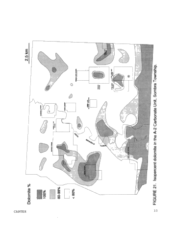 Dolomitization Patterns in the Salina A-1 and A-2 Units, Sombra Township, Ontario Page 33