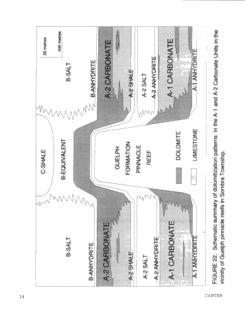 Dolomitization Patterns in the Salina A-1 and A-2 Units, Sombra Township, Ontario Page 34
