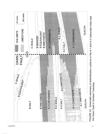 Dolomitization Patterns in the Salina A-1 and A-2 Units, Sombra Township, Ontario Page 35