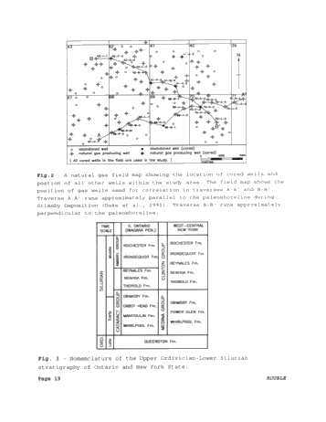 Paleoenvironments of the Grimsby Formation (Silurian) in Subsurface, Lake Erie, Ontario Page 19