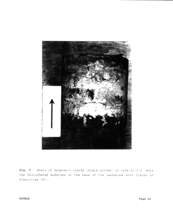 Paleoenvironments of the Grimsby Formation (Silurian) in Subsurface, Lake Erie, Ontario Page 22