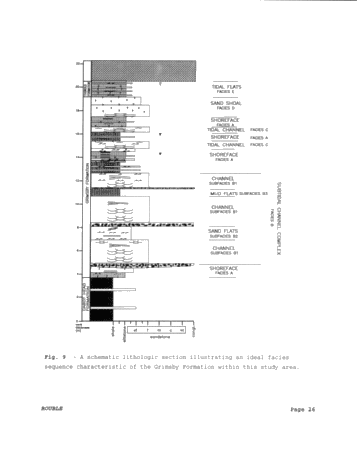 Paleoenvironments of the Grimsby Formation (Silurian) in Subsurface, Lake Erie, Ontario Page 26