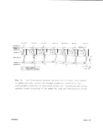Paleoenvironments of the Grimsby Formation (Silurian) in Subsurface, Lake Erie, Ontario Page 28