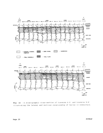 Paleoenvironments of the Grimsby Formation (Silurian) in Subsurface, Lake Erie, Ontario Page 29