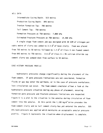Foam Cementing Across Fractured Ordovician Formations in Kent/Essex County Page 11