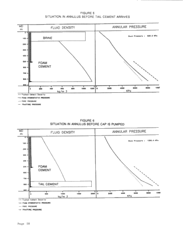 Foam Cementing Across Fractured Ordovician Formations in Kent/Essex County Page 18