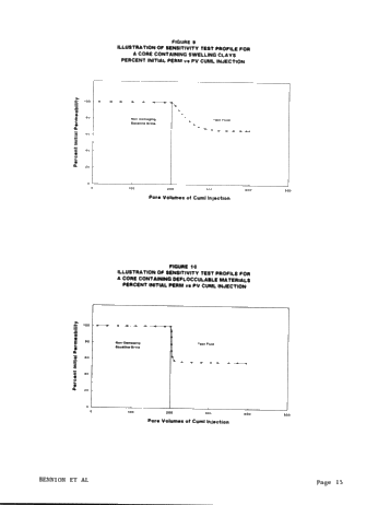 The Design and Use of Laboratory Tests to Reduce Formation Damage in Oil and Gas Reservoirs Page 15