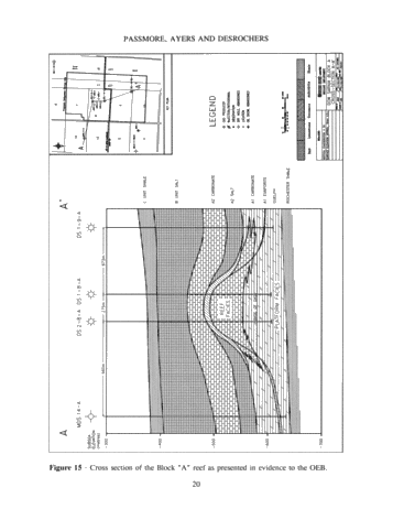 The Integrated Approach to Modeling the Dow-Sarnia Block "A Pool Page 19