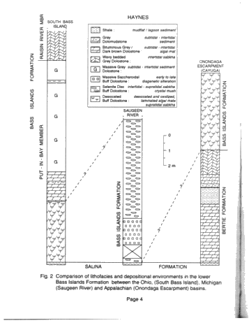 Lithofacies and Stratigraphic Relationships of the Bass Islands Formation, Onondaga Escarpment, Niagara Peninsula Page 4