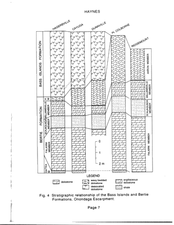 Lithofacies and Stratigraphic Relationships of the Bass Islands Formation, Onondaga Escarpment, Niagara Peninsula Page 7