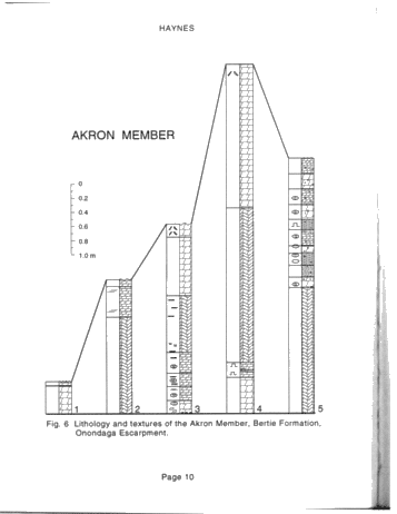 Lithofacies and Stratigraphic Relationships of the Bass Islands Formation, Onondaga Escarpment, Niagara Peninsula Page 10