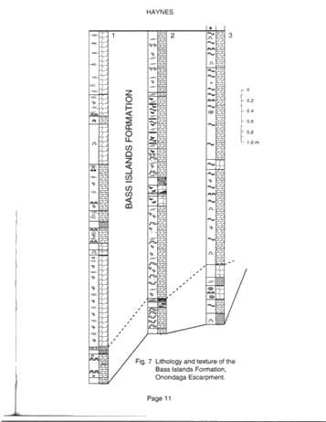 Lithofacies and Stratigraphic Relationships of the Bass Islands Formation, Onondaga Escarpment, Niagara Peninsula Page 11