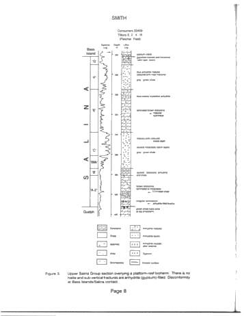 The Salina Group: Salt Solution and the Algonquin Arch: Relation to Reservoir Porosity, Salt Caverns and Industrial Minerals Page 8