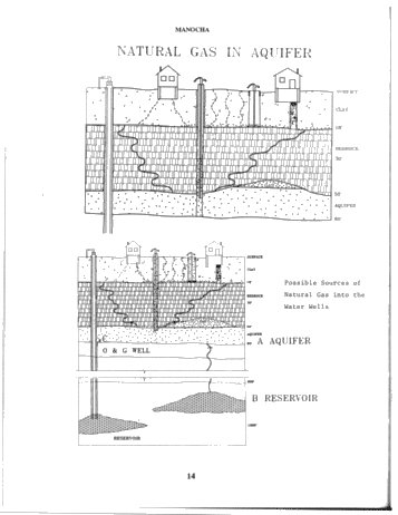 The Jarvis Gas Release Incident Page 14
