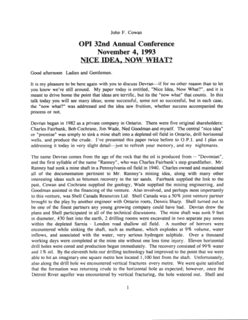 The Devran Petroleum Story: Nice Idea, Now What? Page 1