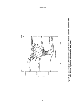 Exploring for Dolomite Chimney Reservoirs Using Iodine Surface Geochemistry Page 3