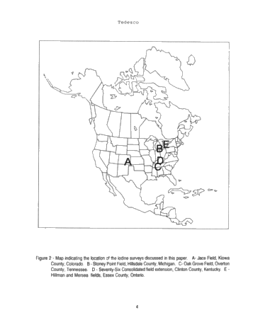 Exploring for Dolomite Chimney Reservoirs Using Iodine Surface Geochemistry Page 4