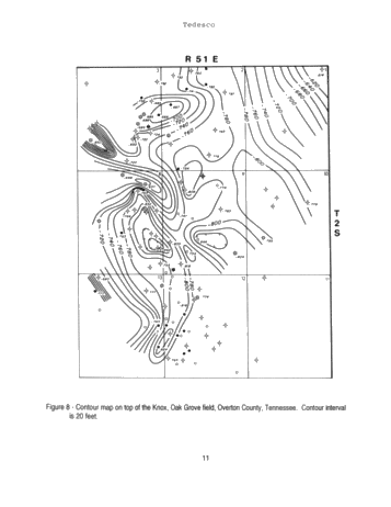 Exploring for Dolomite Chimney Reservoirs Using Iodine Surface Geochemistry Page 11