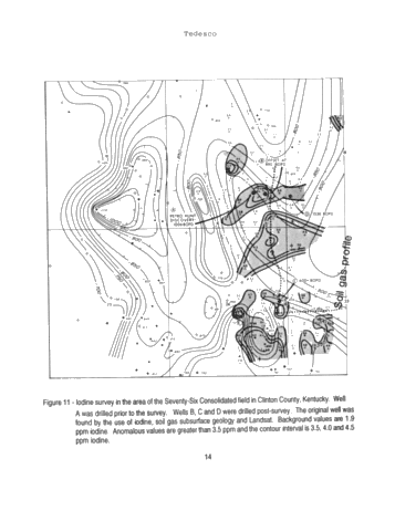 Exploring for Dolomite Chimney Reservoirs Using Iodine Surface Geochemistry Page 14