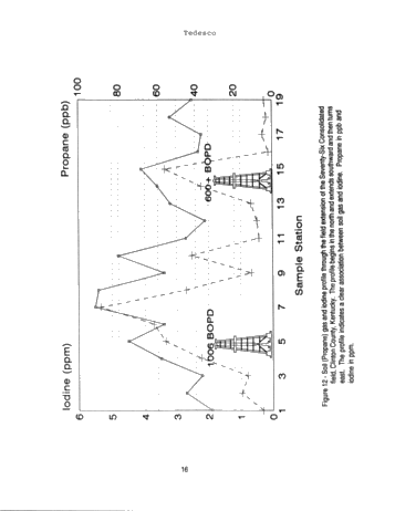 Exploring for Dolomite Chimney Reservoirs Using Iodine Surface Geochemistry Page 16