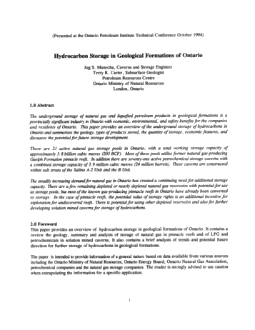 Hydrocarbon Storage in Geological Formations of Ontario Page 1