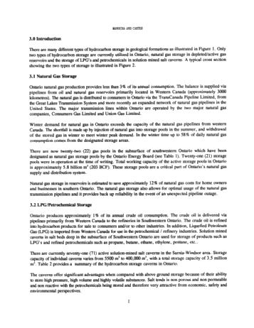Hydrocarbon Storage in Geological Formations of Ontario Page 2