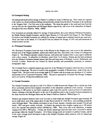 Hydrocarbon Storage in Geological Formations of Ontario Page 3